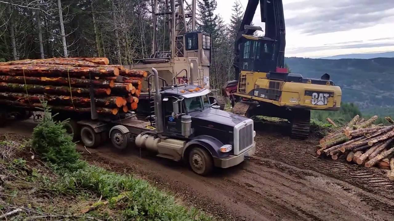 Yarder logging 2016