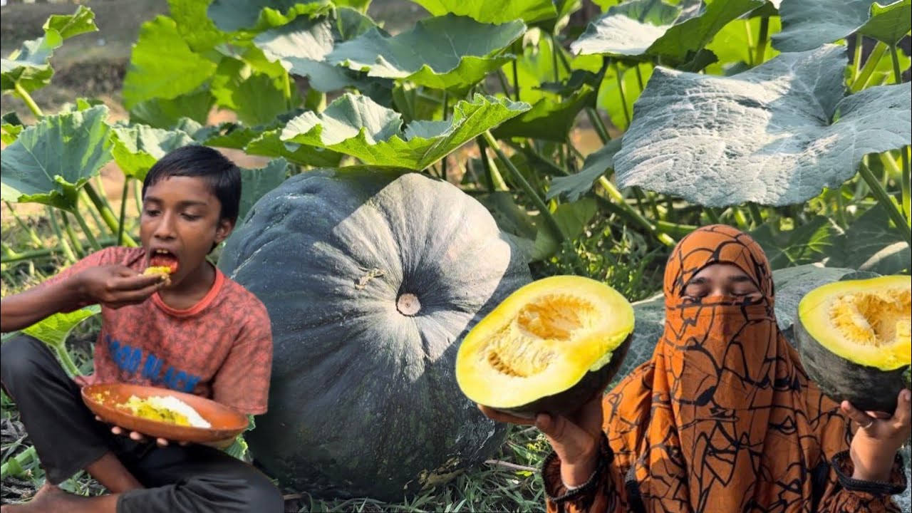 কচি মিষ্টি কুমড়া পাঙ্গাস মাছ দিয়ে অনেক দিন পর রান্না করলাম | Villfood by Laki