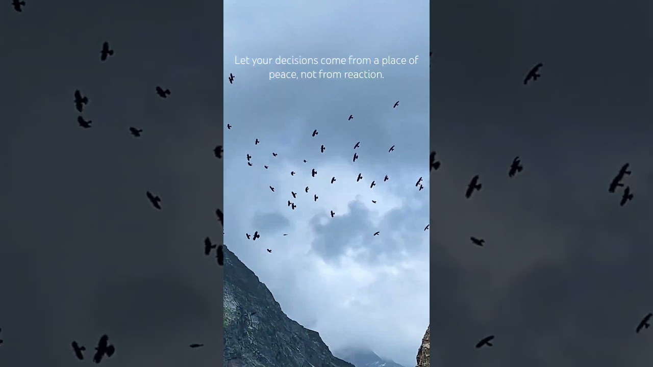 Peace lasts forever, that’s a myth but is it visionary? 