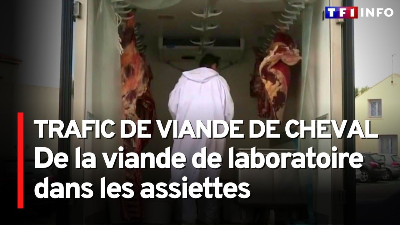 Un vaste trafic de viande de cheval jugé à Marseille