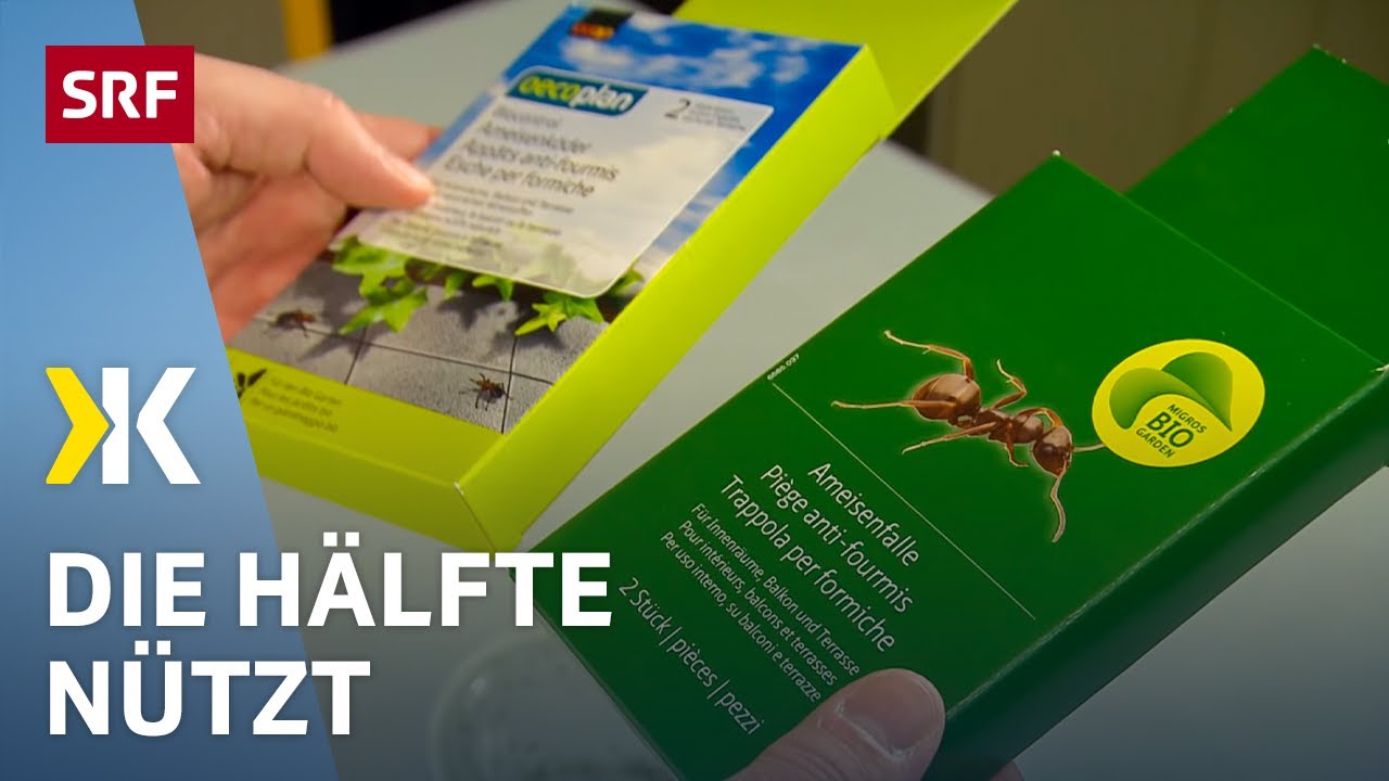 Ameisenköder im Test: Einige Produkte helfen gegen Ameisen im Haus | 2018 | Kassensturz | SRF