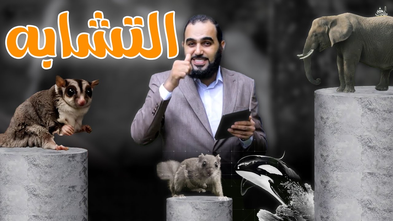 هل التشابه دليل على نظرية التطور - اعرف إزاي بيضللوك - #نظرية_التطور