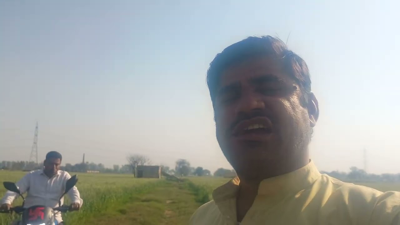 दांत की घिसाई गन्ने के साथ 