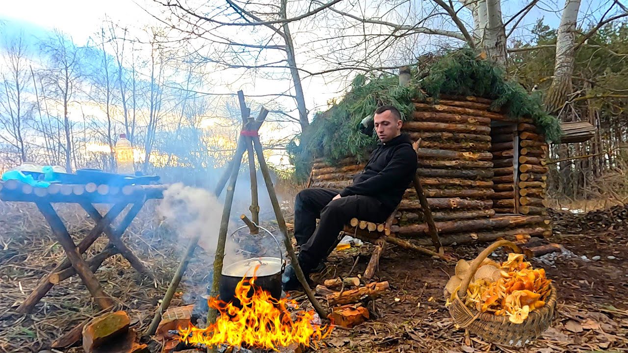 ГРИБИ У ЛІСІ Є! Готую борщ з грибами серед лісу🌲 Березень. Гриби 2026