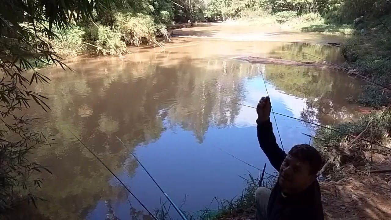 Hoje teve mais três tilápias 