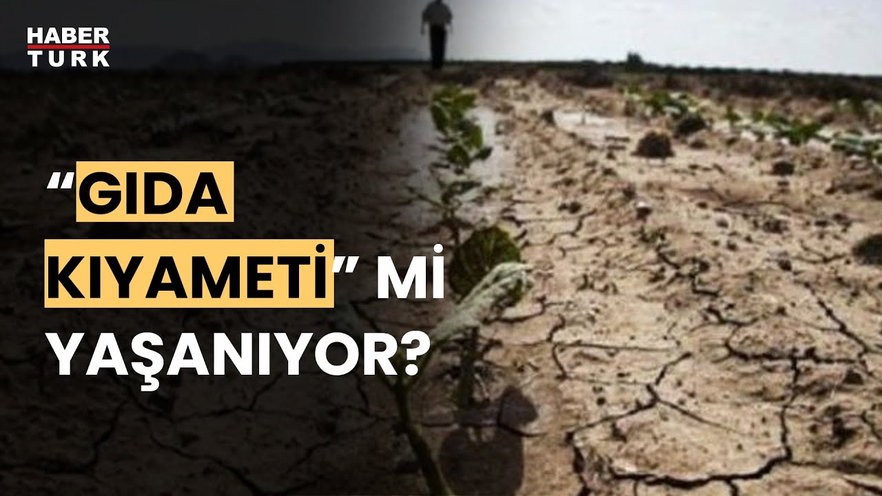 Dünya Gıda Krizine mi sürükleniyor? Dr. Ramazan Kurtoğlu yanıtladı