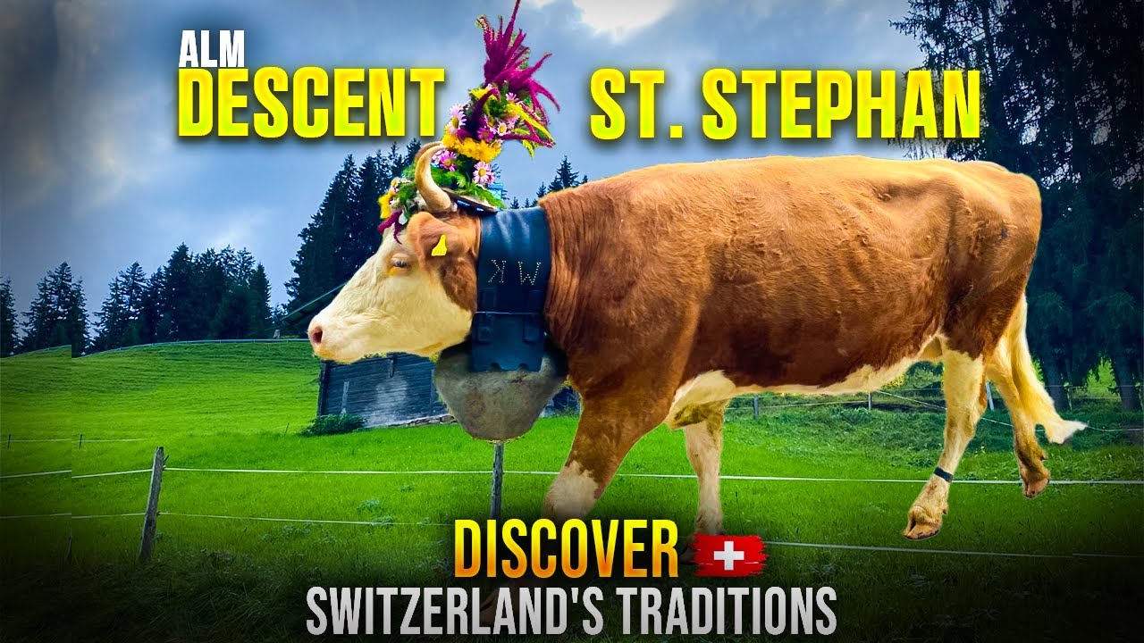 🇨🇭 Unmissable Swiss Tradition! The Stunning Alm Descent in St. Stephan 🏔️🐄