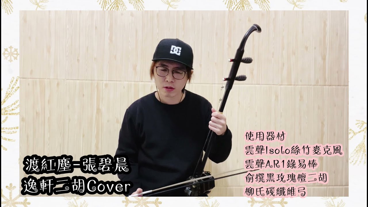 《渡紅塵》張碧晨 Cover by逸軒二胡