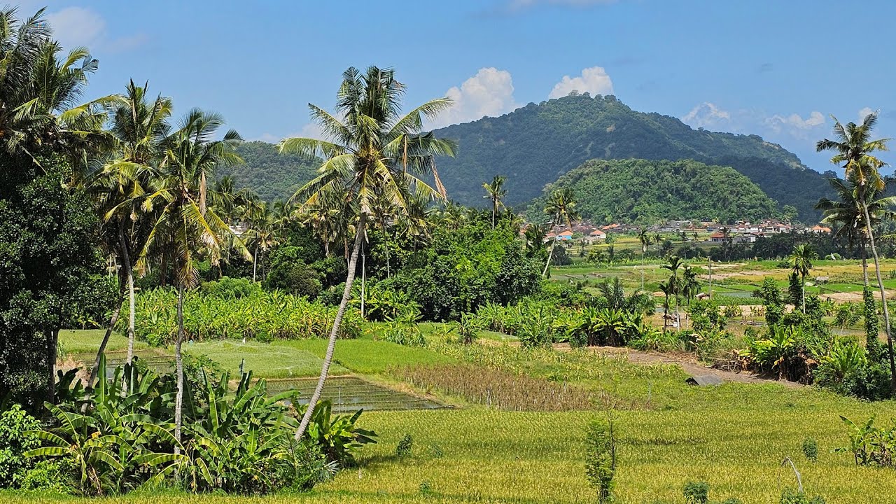 Indonesia - Lesser Sunda Islands - 2024  4K