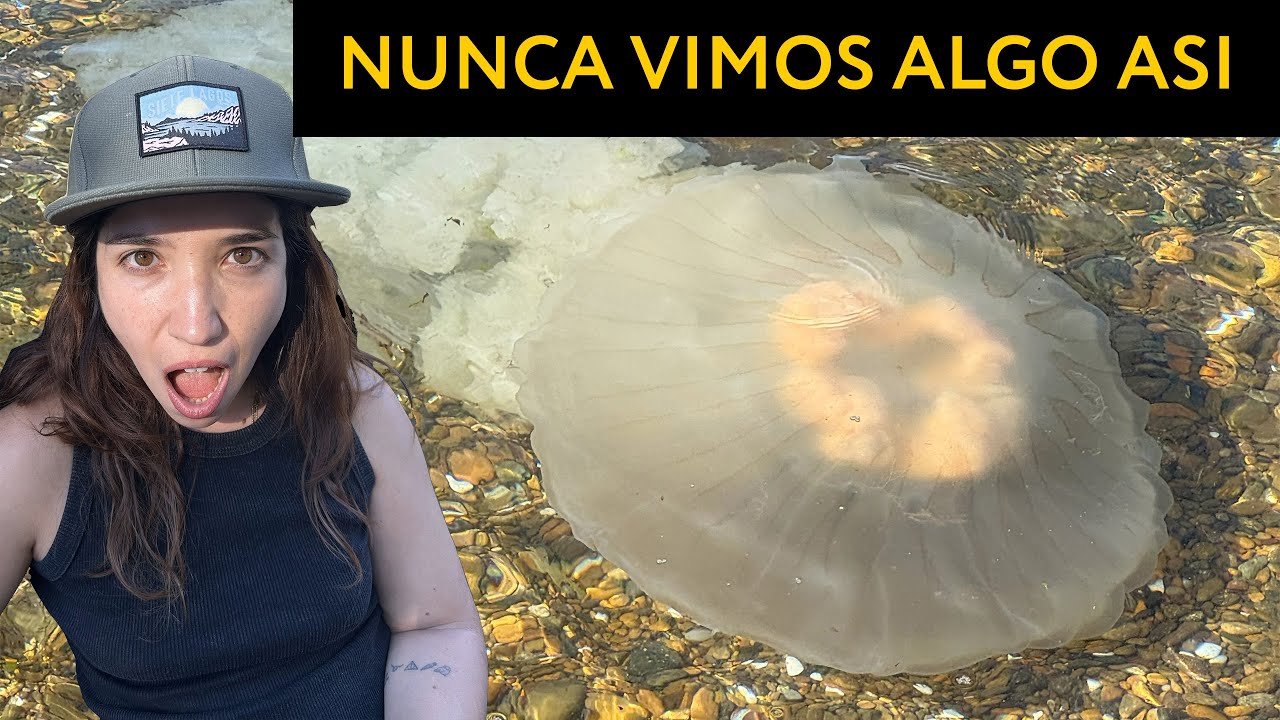 T1E7 Vimos MEDUSAS GIGANTES y conocimos el PUEBLO que visito LADY DI 👸🤩