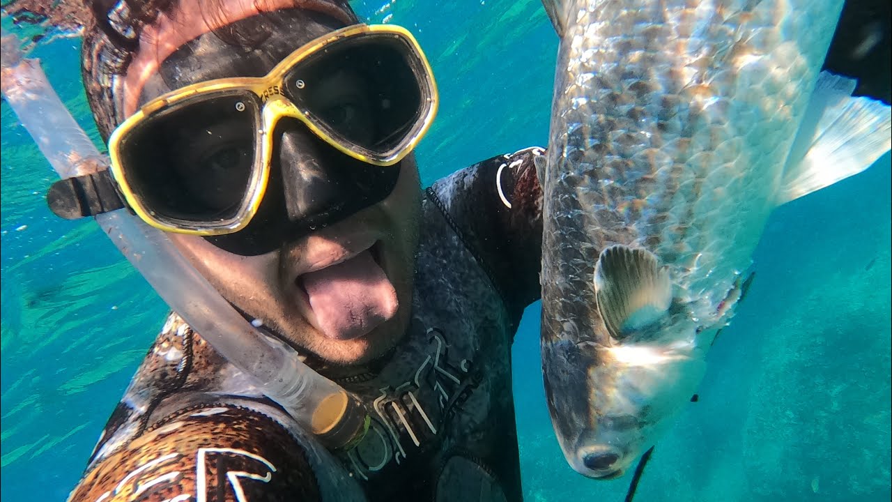 Pesca sub (cefali XL nel basso fondale)🎯🎯