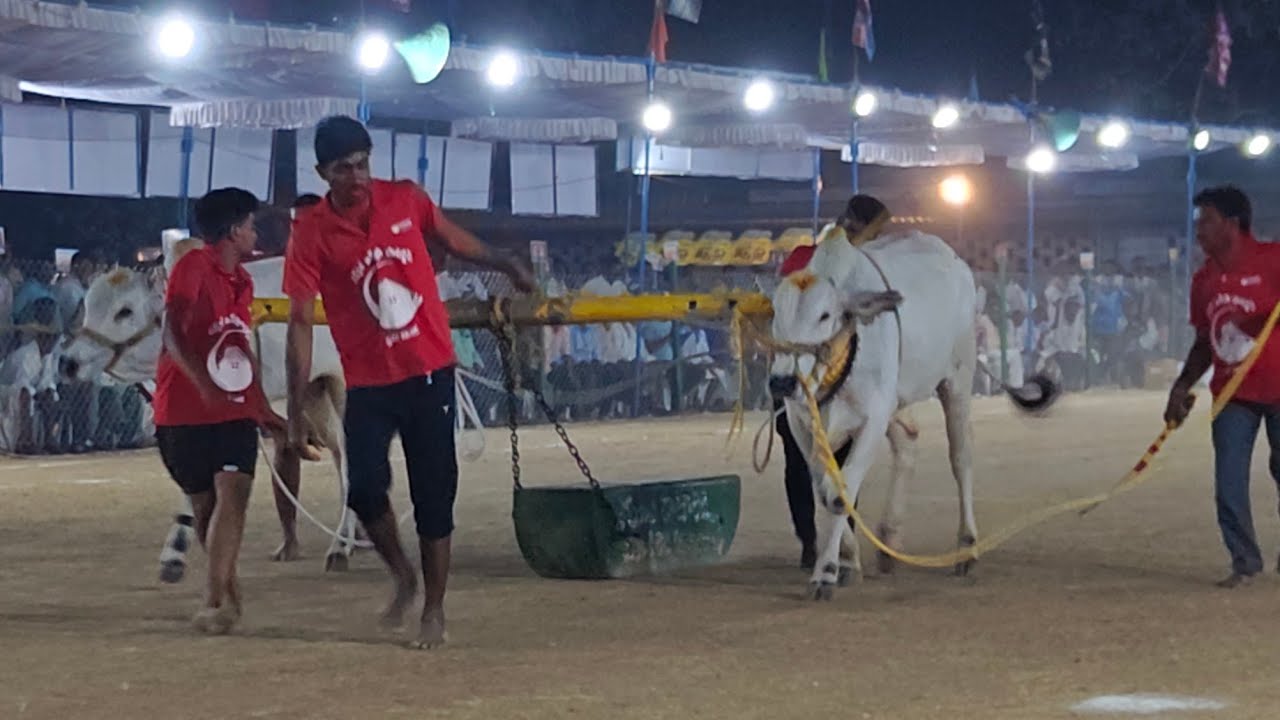రెంటచింతల పాల పళ్ళు 23వ