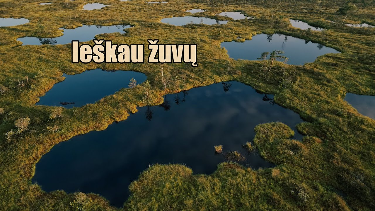 2 paros pelkėj ieškant žuvų