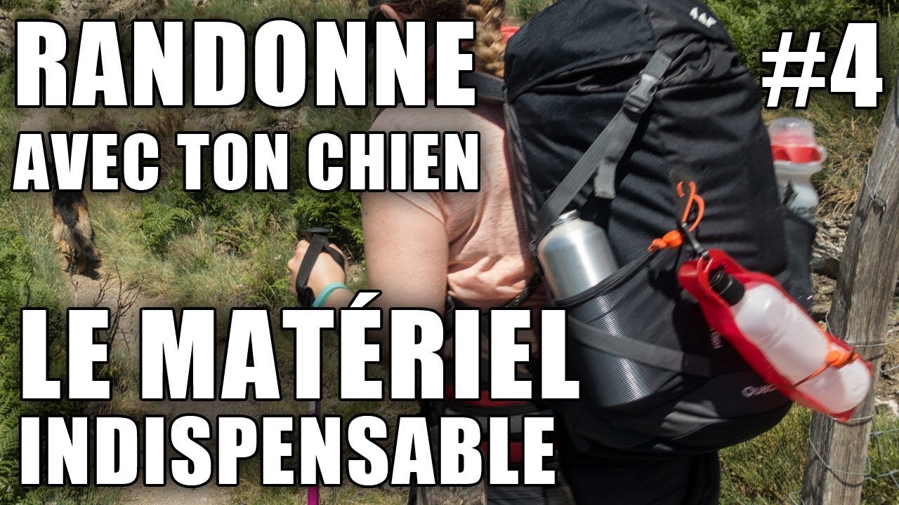 LE MEILLEUR MATÉRIEL POUR LA CANI-RANDONNÉE
