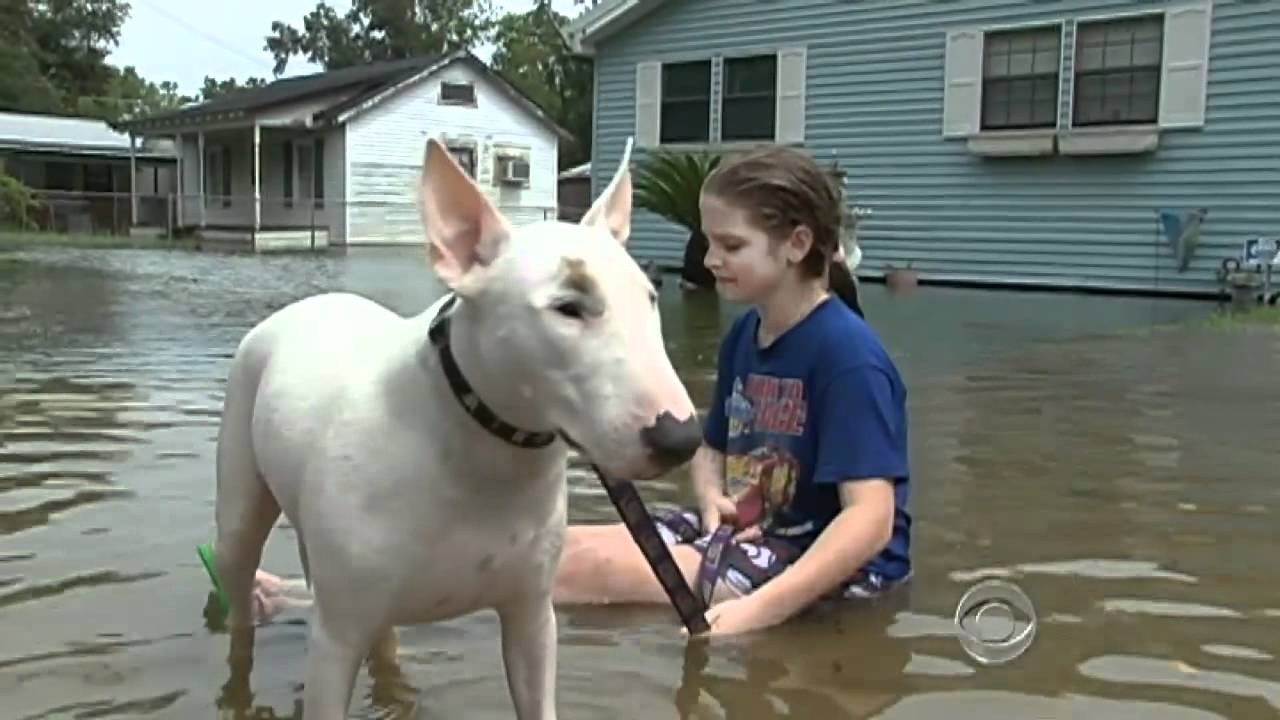 Tropical Storm Lee drenches Gulf Coast