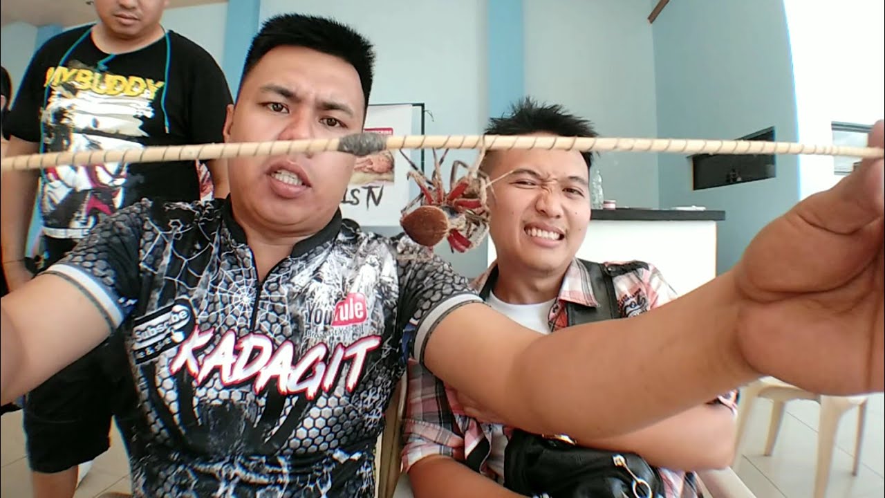 Gagamvino VS Kadagit - Solid fight 🔥🕷️ 2 Game's