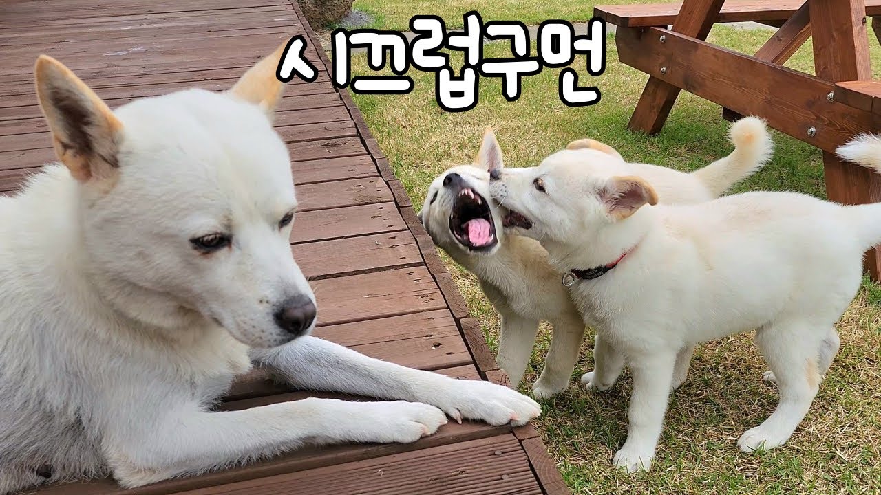 아들이 가까이 살면 좋은 이유