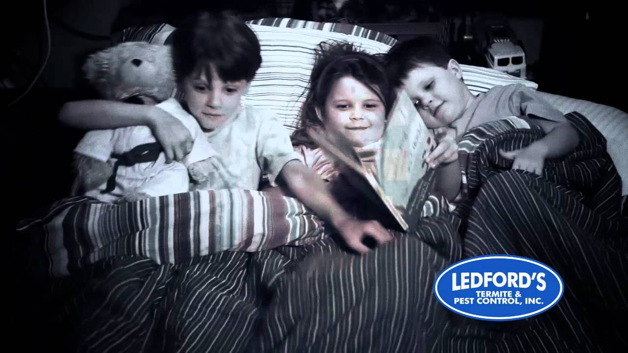 Charleston Commercial Video | Ledford's Pest Control