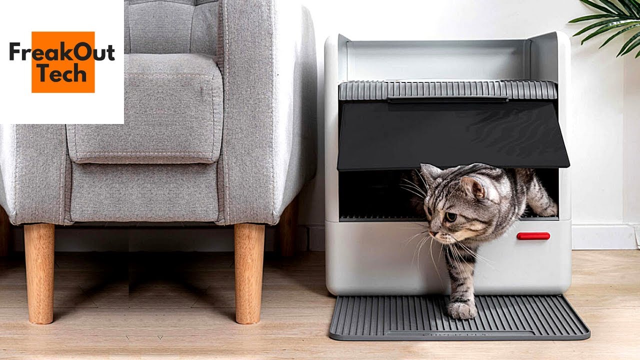 5 Awesome Cat Inventions You Will Love
