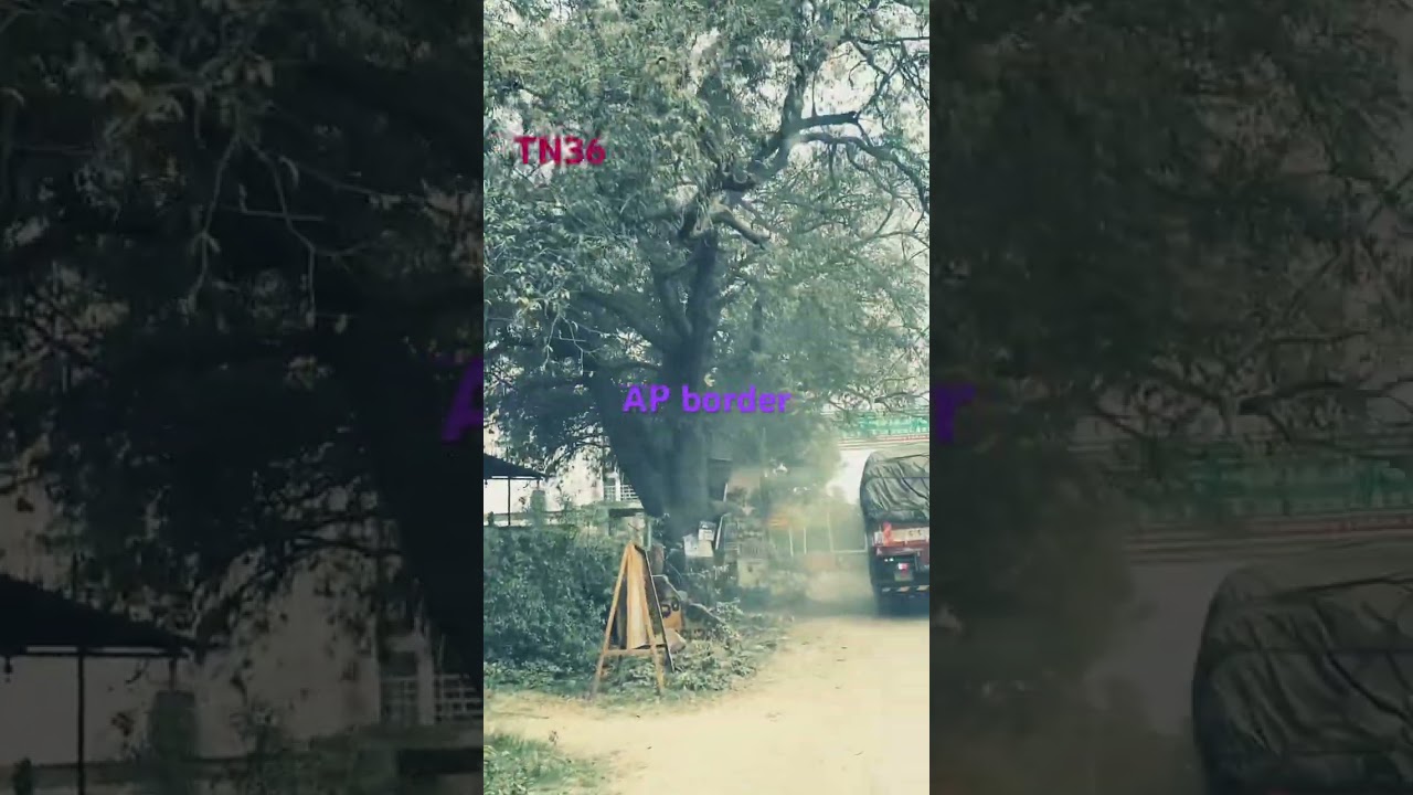 Road Quality AP vs TN| Tamilnadu Road Construction | TN36|