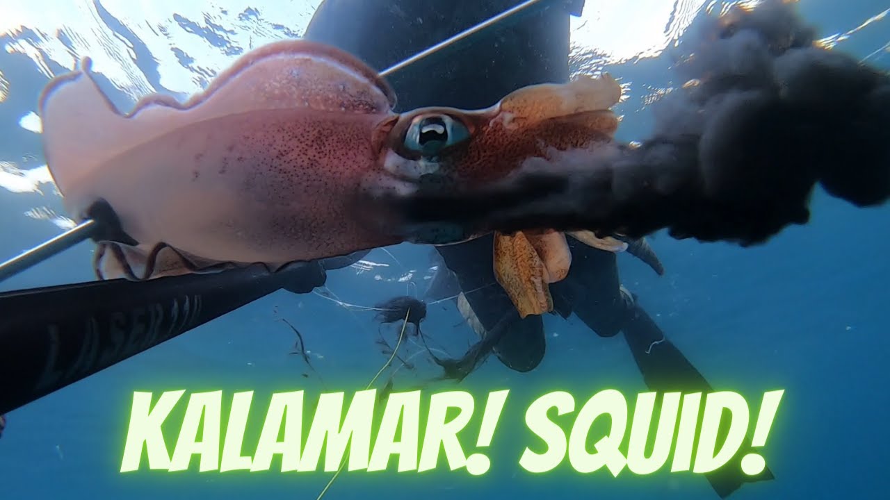 Ayhan BİBİ Antalya Kalamar Avı Spearfishing Calamari Squid Long Shot  #36