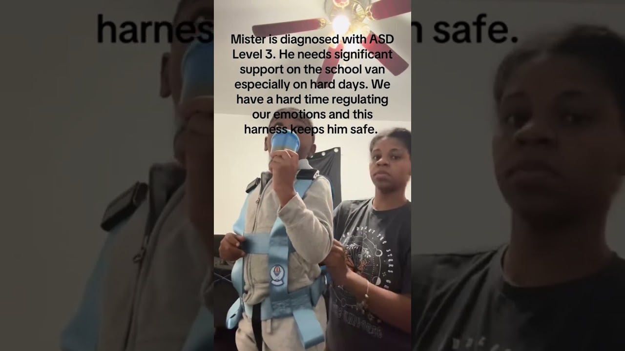 Keeping Kids Safe & Comfortable: Easy-On Harness 303 Review #EasyOnHarness#ChildSafety #specialneeds