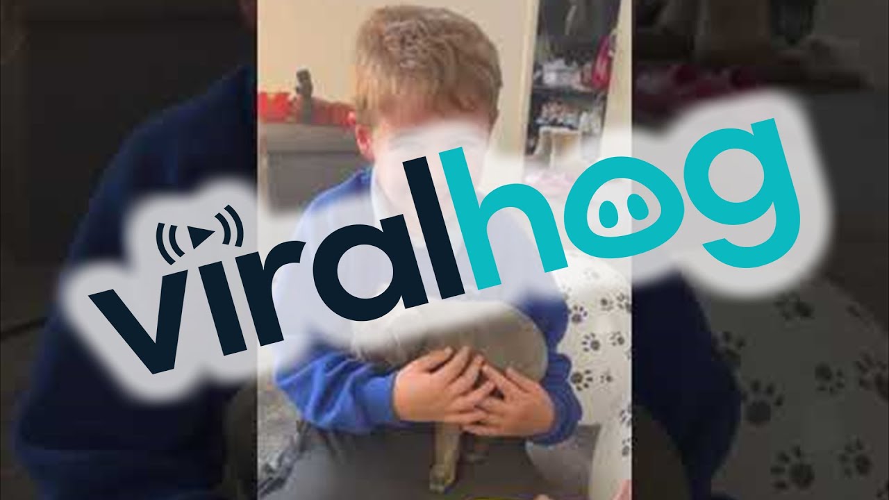 Parents Surprise Boy With Puppy for His Birthday || ViralHog