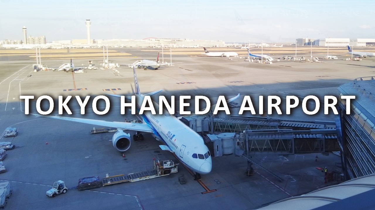 TOKYO HANEDA AIRPORT 🇯🇵 Daytime Walking Tour | City Sounds & Relaxing Jazz