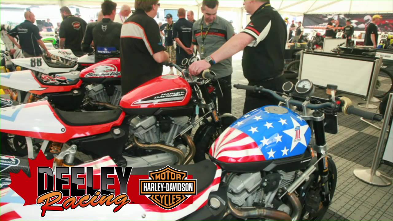 XR1200 Deeley-Harley Davidson Racing Promo-YouTube sharing.mov