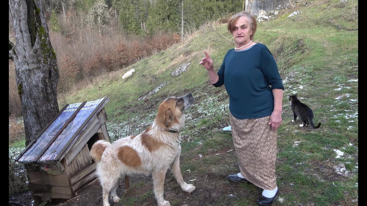 Vrijedna nana bez dlake na jeziku. Samo stanu i kukaju ja nemam a mogu...