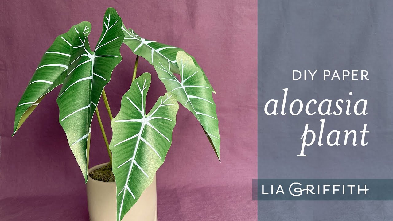 How to Make a DIY Paper Alocasia Plant