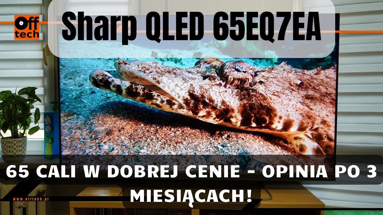 Sharp 65EQ7EA: opinia po 3 miesiącach!