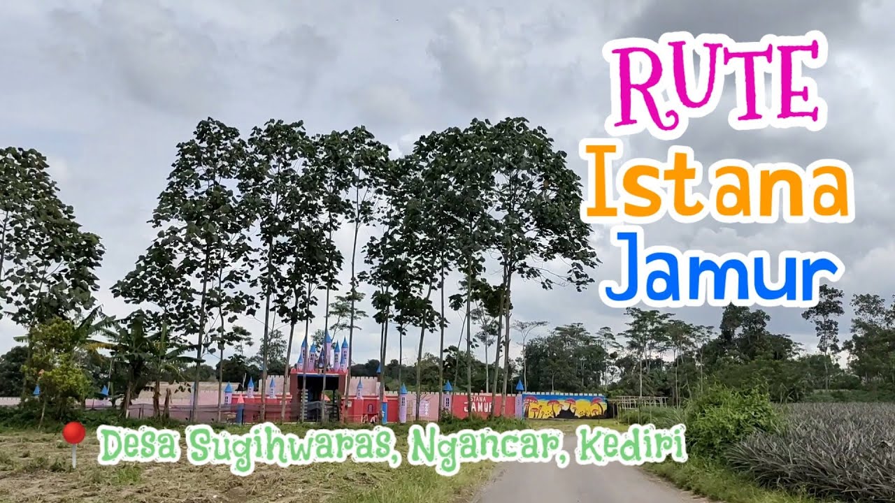 RUTE ISTANA JAMUR NGANCAR | Wisata Baru di Ngancar Kediri