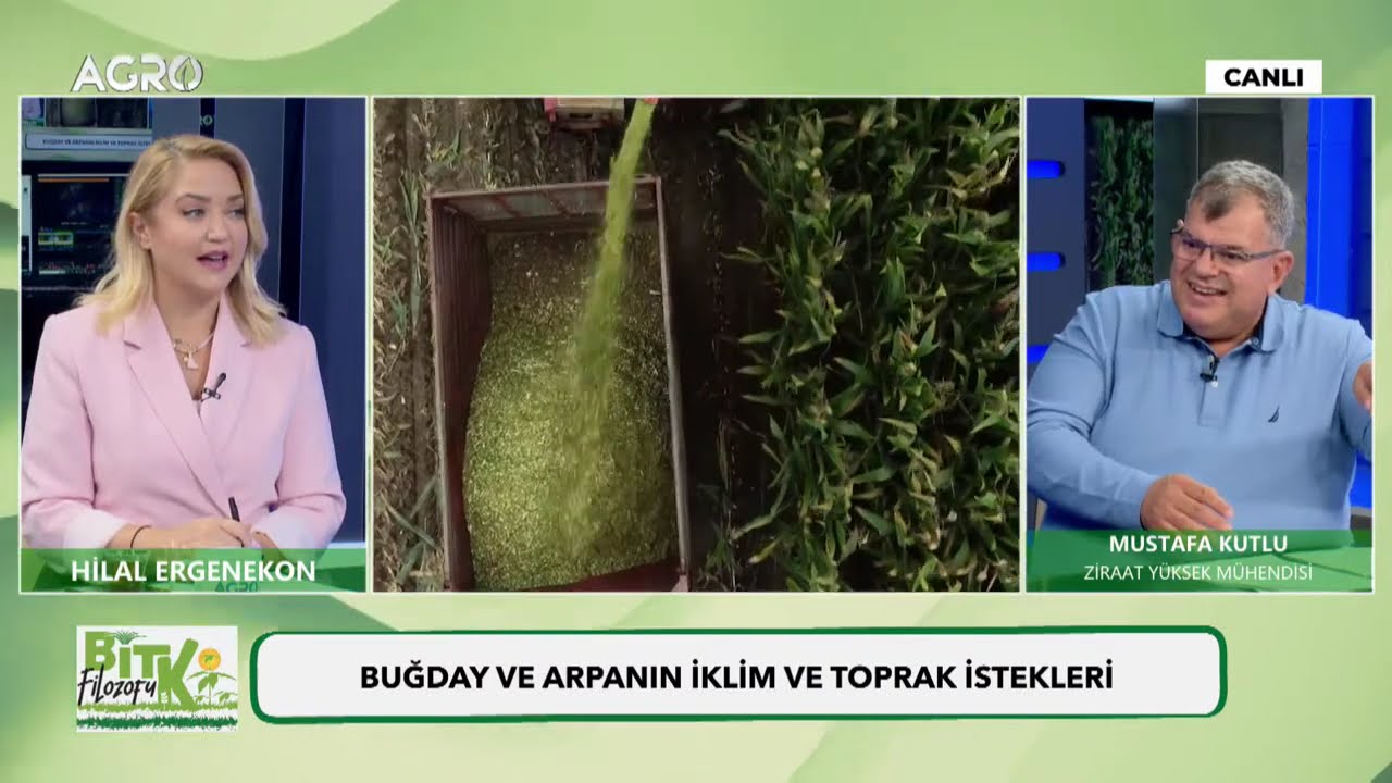 Buğday Ne Zaman Ekilir ve Hasat Edilir? -Ziraat Yüksek Müh. Mustafa Kutlu | Bitki Filozofu
