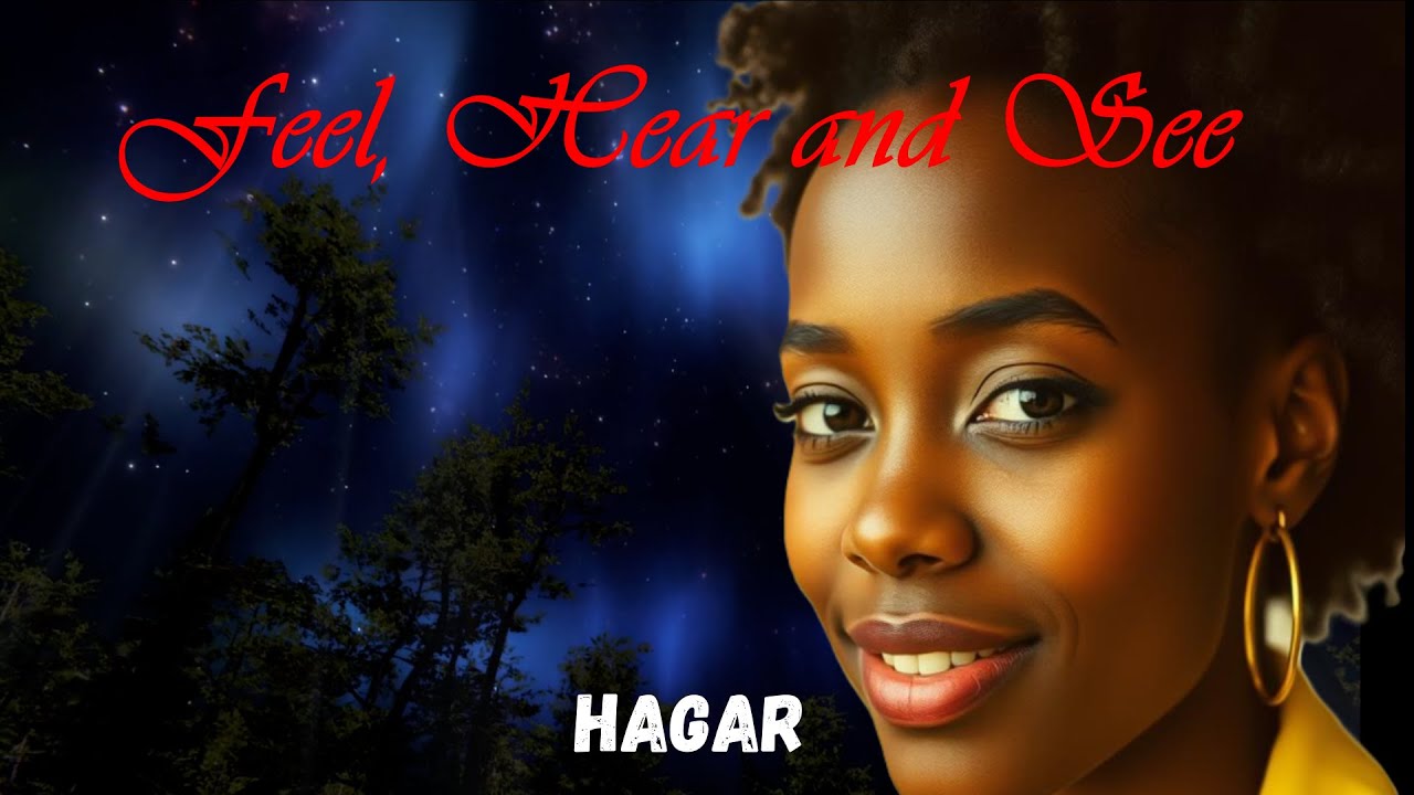 Feel Hear And See  by HAGAR