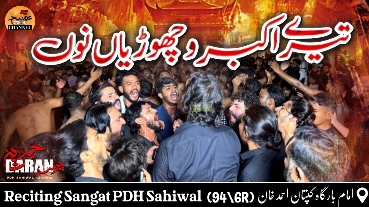 Tere Akbar Vichoreyan Nu | PDH | Sahiwal Azadari | 29 Zilhaj | 2025 | Imam bargah Captan Ahmad Khan