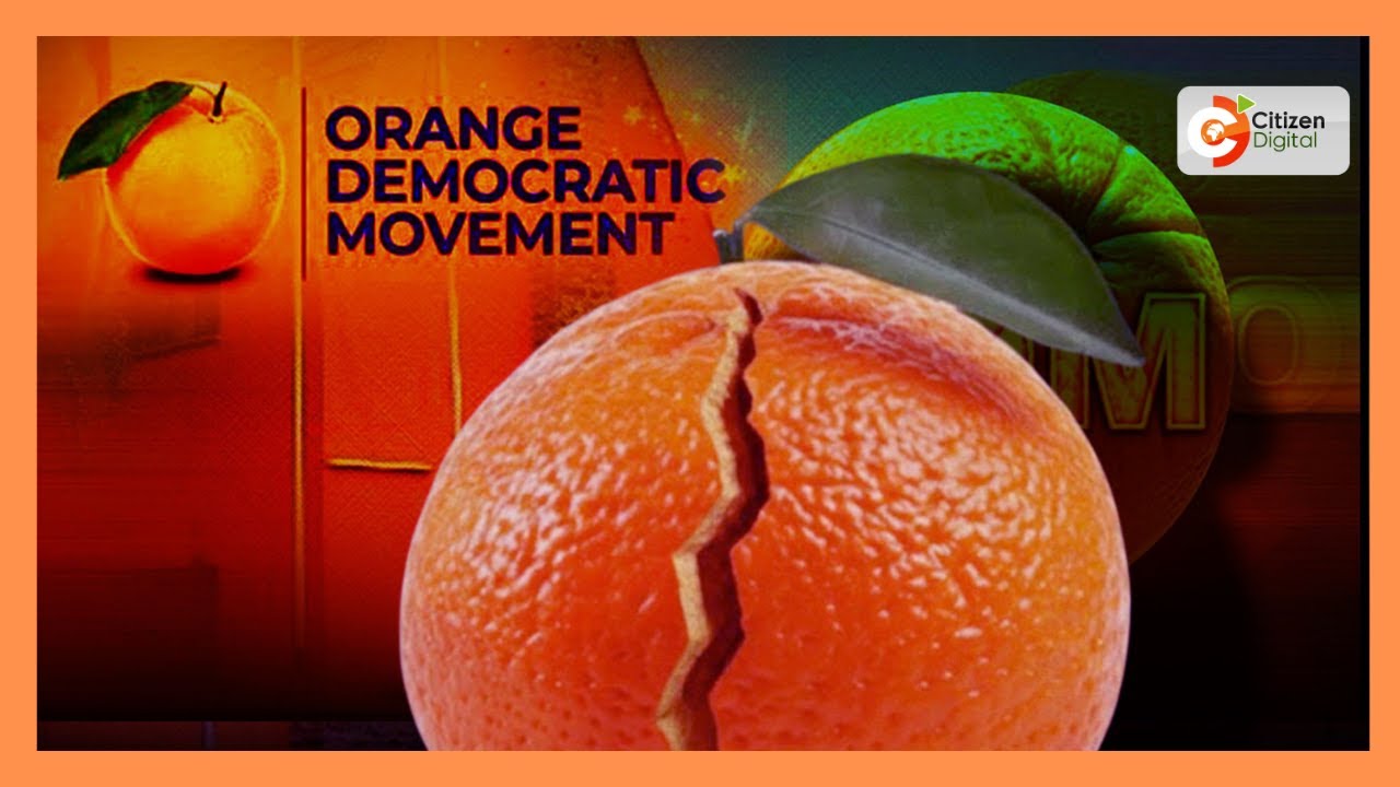Rift in ODM as Ruth Odinga backs Sifuna, slams government and Uhuru