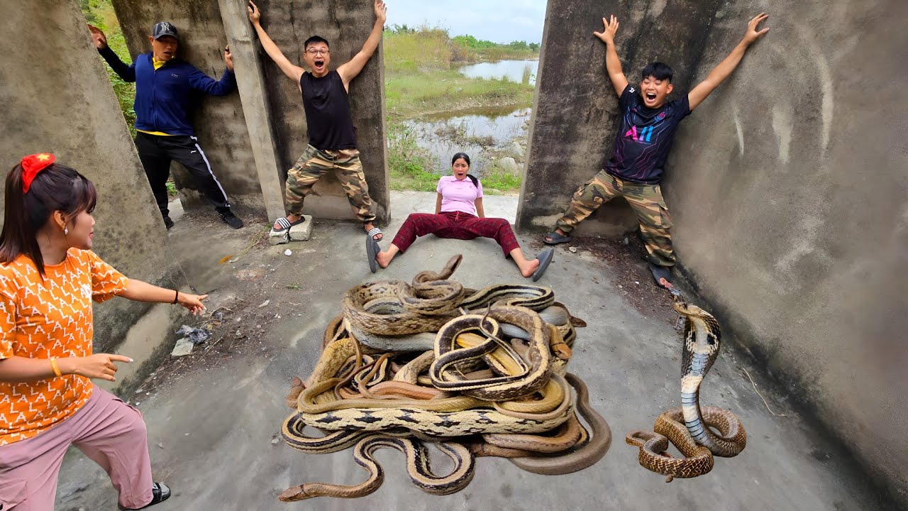 Brave Hunter Rescues Young Girl From 100 Ferocious Dragon Snakes