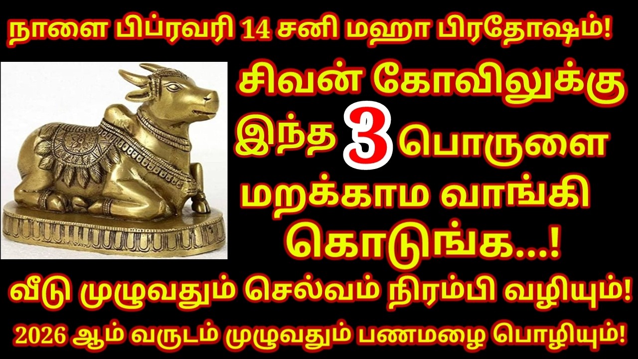 Feb 14 சனி மஹா பிரதோஷம் அன்று வாங்க வேண்டிய பொருள்கள் ஒரே நாளில் ஓஹோன்னு வாழ்க்கை|#astrology