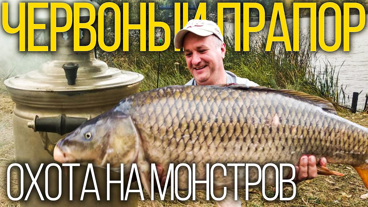 Охота на трофейного карпа. Червоный Прапор.Осенний Карпфишинг