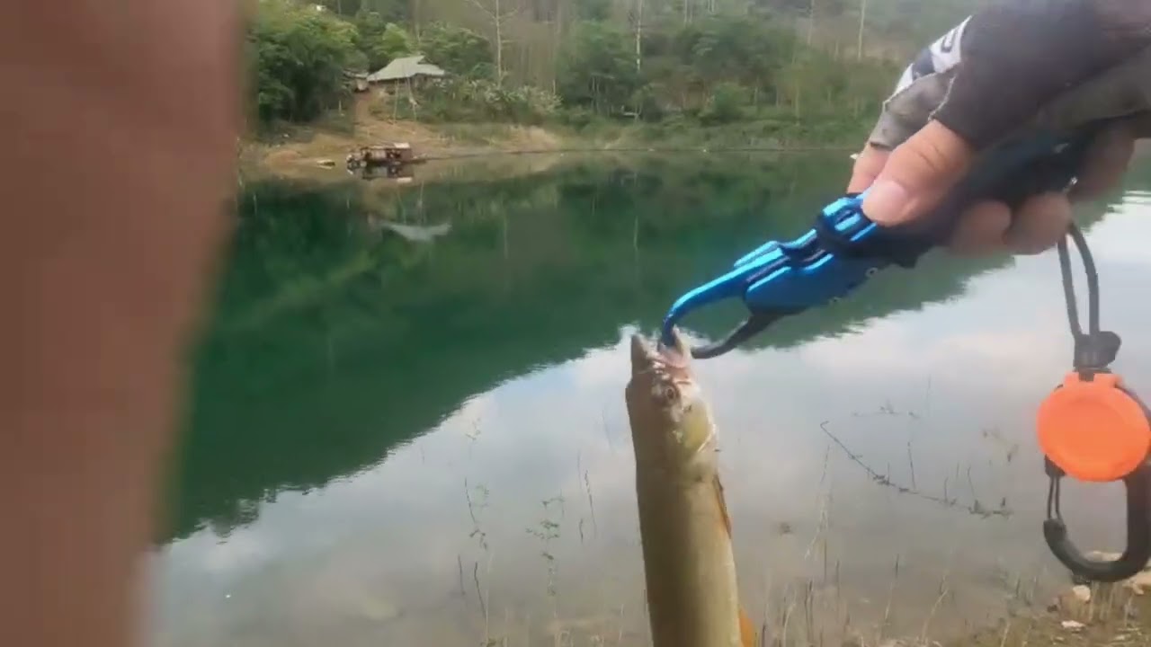 Chạy 120km lên lòng hồ sông Đà câu lure – Hoàng hôn dính ngay em hàng!