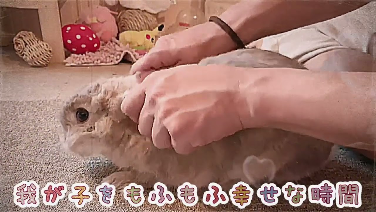 マッサージしながら、ときどきお手入れのお手伝い