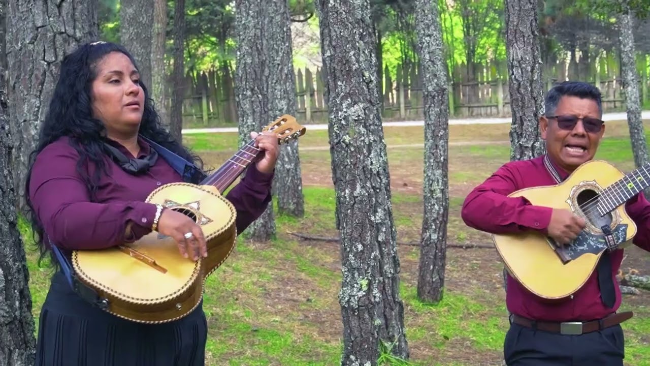 QUIERO VER AQUELLA PATRIA, TRIO MELODIAS CRISTIANAS