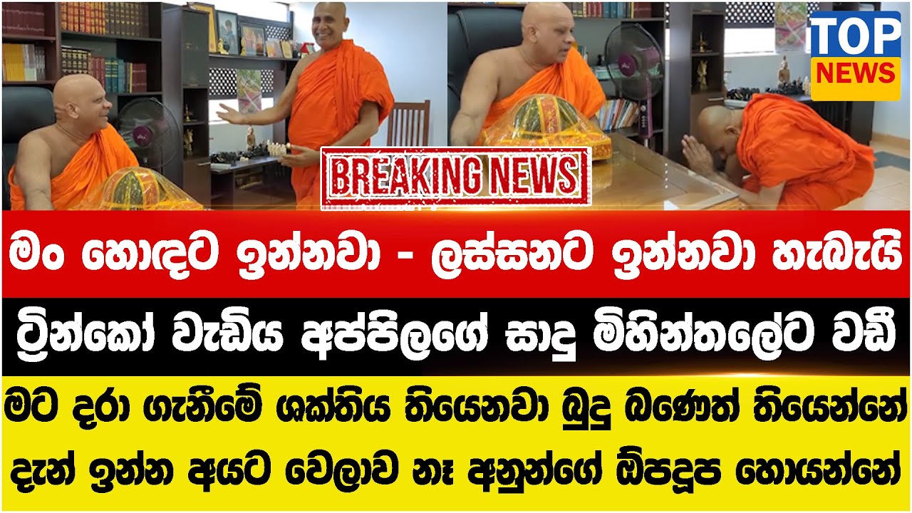 ට්‍රින්කෝ වැඩිය අප්පිලගේ සාදු මිහින්තලේට වඩී - ලස්සනට ඉන්නවා හැබැයි - මට දරා ගැනීමේ ශක්තිය තියෙනවා