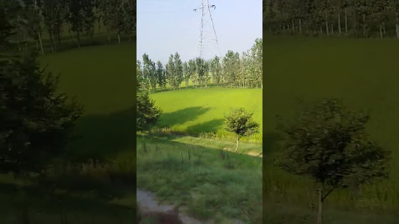 #kashmir #kashmirvalley #naturalbeauty #nature #kashmirtourism #visitkashmir #srinagar