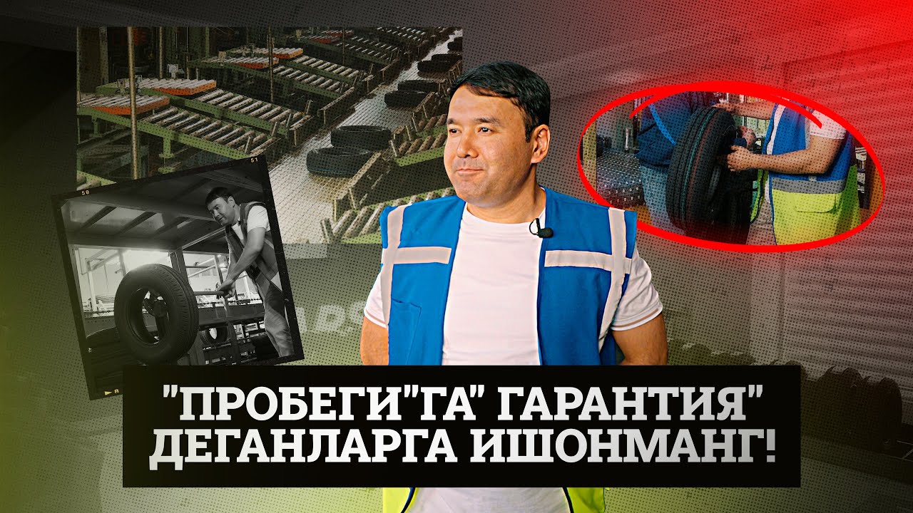 Дарахт қандай қилиб шинага айланади?