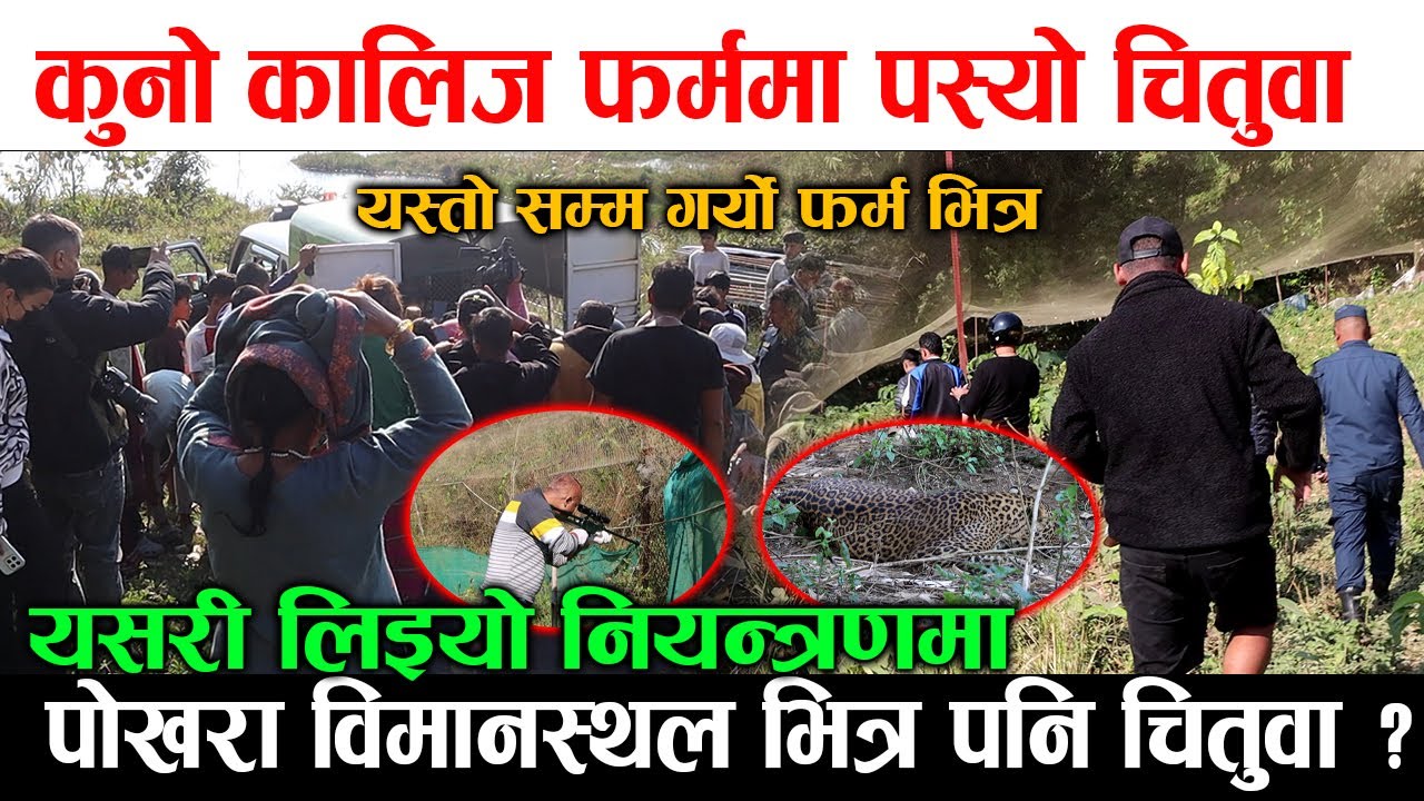 OMG कालिज फर्मभित्र देखायो चितुवाले ताण्डब ! यसरी लियो नियन्त्रणमा कुनो कालिज फर्ममा के भयो यस्तो