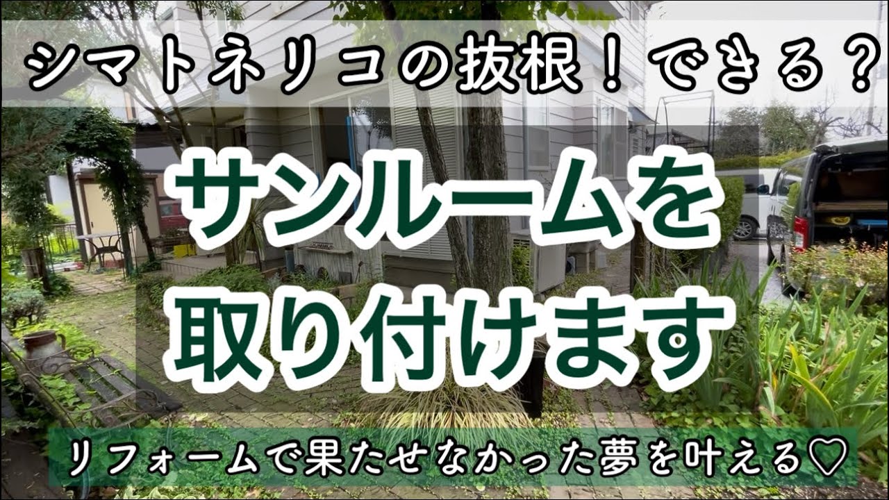 サンルーム取り付けの為シマトネリコの抜根作業をする！/ガーデニング/リフォーム