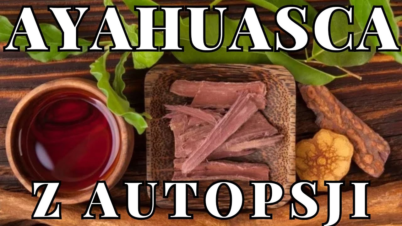 AYAHUASCA - wszystko, co potrzebujesz wiedzieć #ayahuasca #brazylia #szamanizm #aya #ceremonia #love