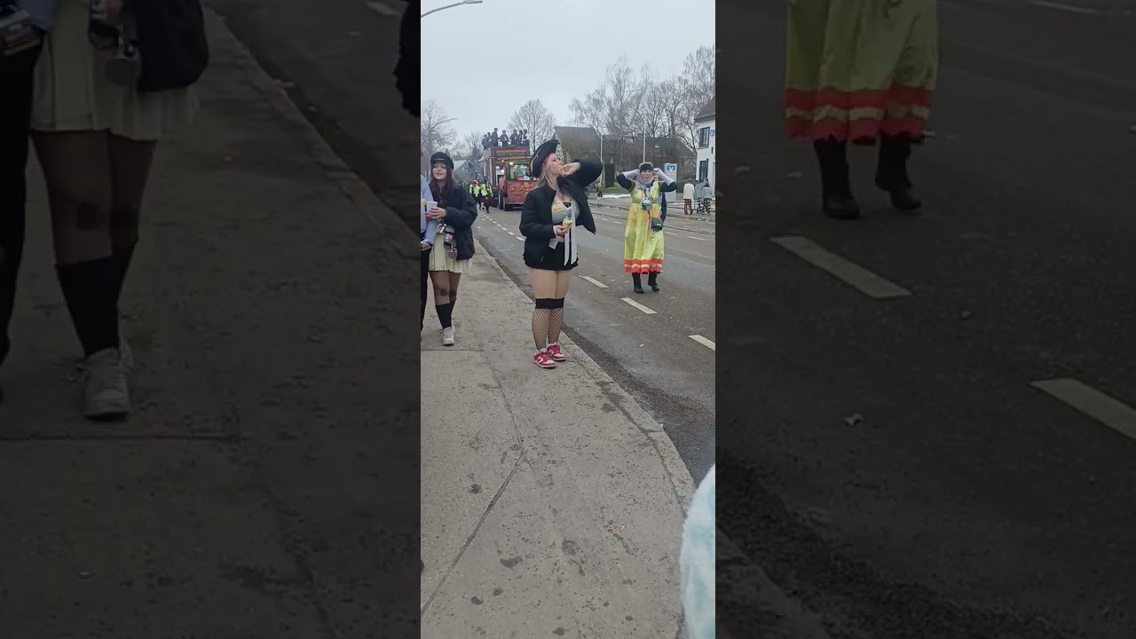 Faschingumzug in Offingen 2026